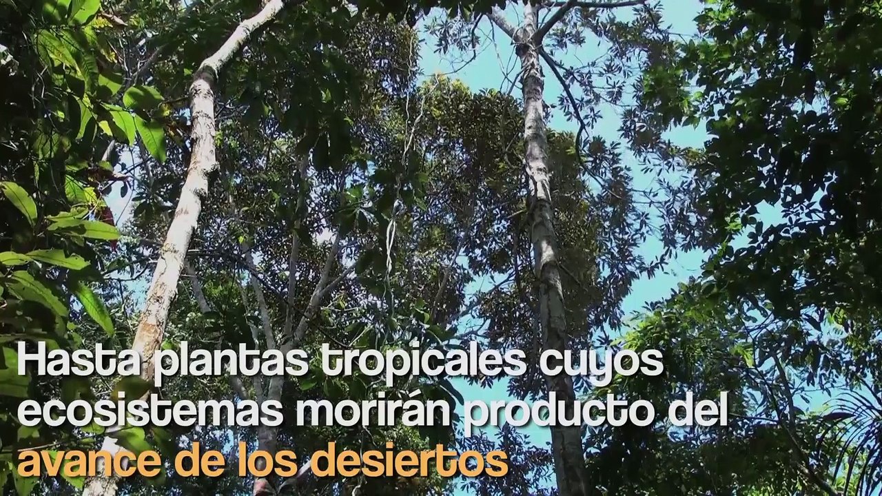 ASÍ DESTRUYE TU VIDA EL CALENTAMIENTO GLOBAL