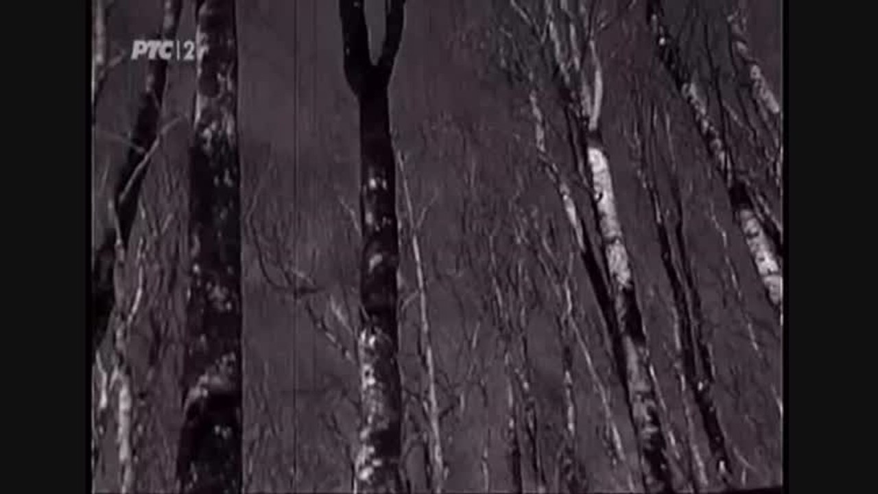 Radmila Dimic - Tri djevojke, tri jagluka vezle