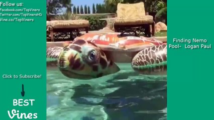 BEST VINES of May 2015 with Titles! - NEW May Vine Compilation Part 1 - BEST VINES ✔