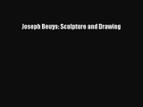 [PDF Download] Joseph Beuys: Sculpture and Drawing [PDF] Full Ebook