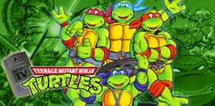 Memory Card #44: Teenage Mutant Ninja Turtles