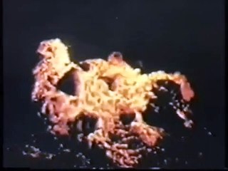 Plate Tectonics Theory