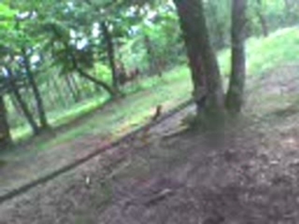 MOV00001