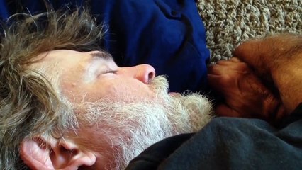 Dog Licks Sleeping Mans Mouth