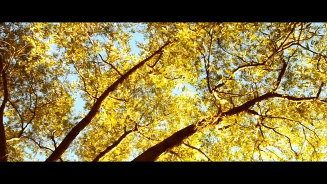 Красивая мелодия души! А дождь всё льёт Сергей Грищук