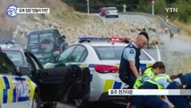 [영상] 양들의 작전 경찰의 용의자 체포 도운 양떼 화제 / YTN