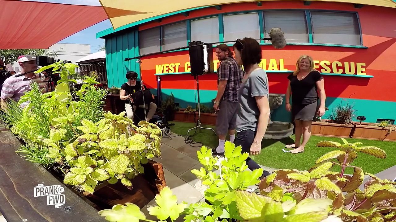 All Dogs Must Go: Epic Pet Adoption Prank It FWD