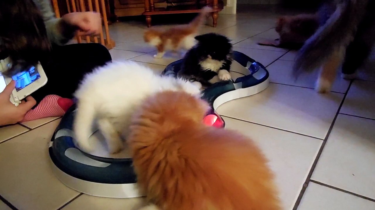 mes bébés deux mois