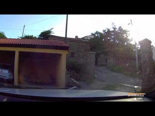 автокатастрофа должны смотреть вау вау