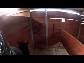 Beginner Dressage Rider Learns About Using the Hips to Turn the Horse