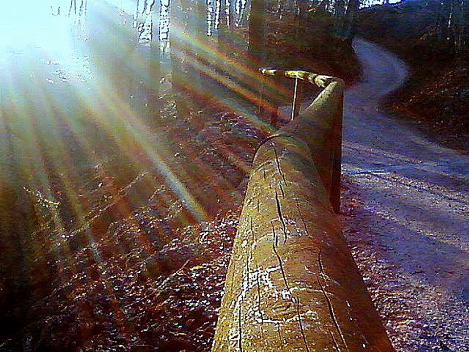 Sonne im Posing u. andere sonderb. u.rätselhafte Dinge Original