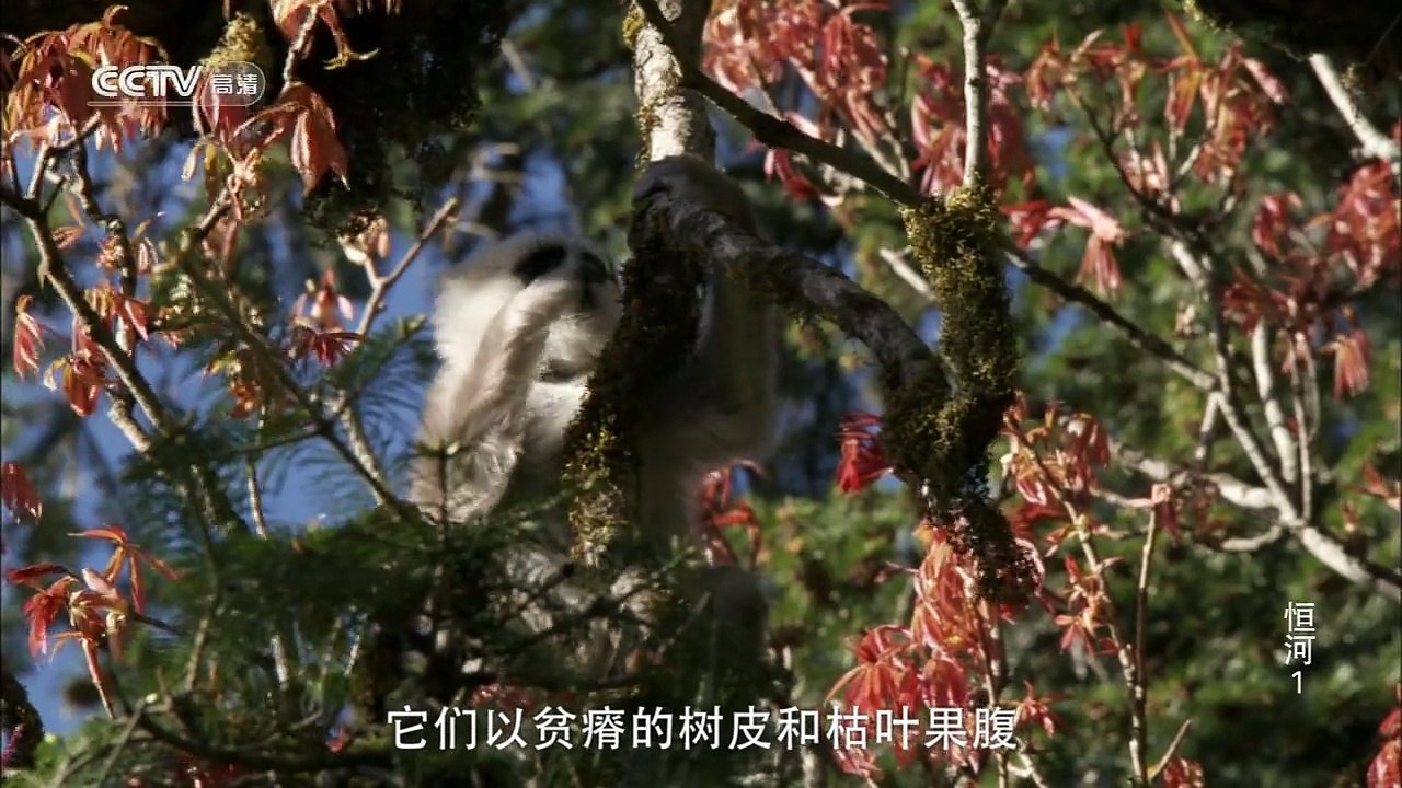 恒河E01