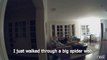 Un papa terrifié par une toile d'araignée fait rire toute sa famille - Chochotte!!!