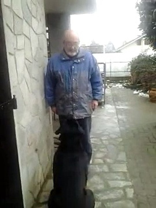 Best Trained Rottweiler  Ever!!!