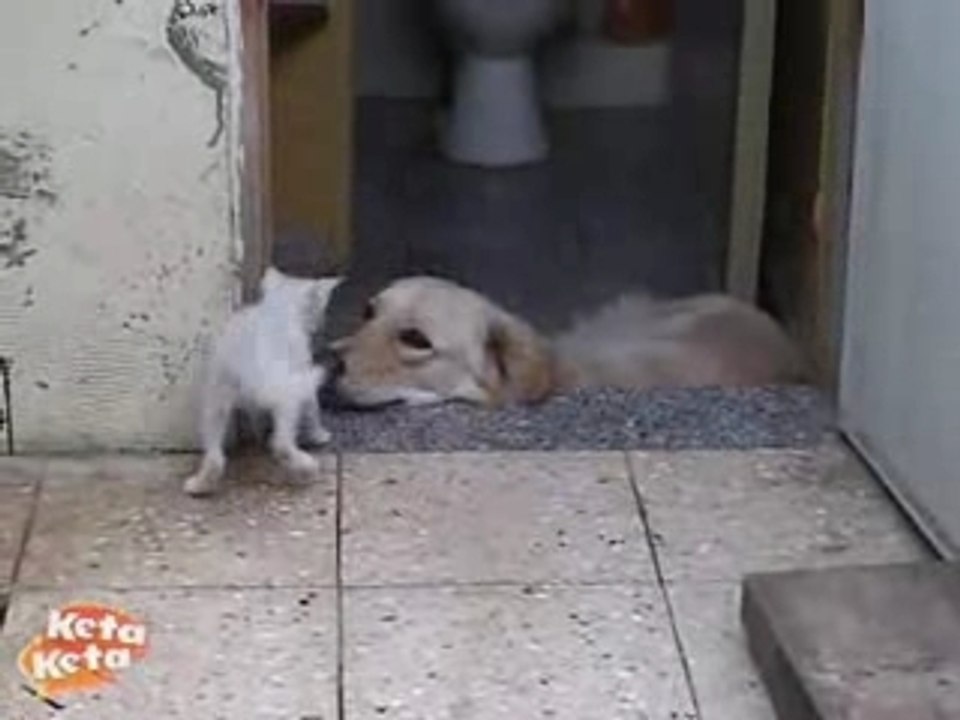 Trop chouuuuu!