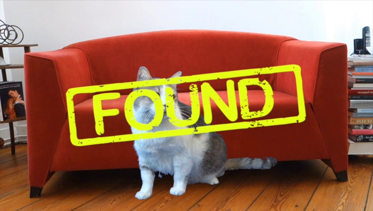 Comment retrouver son chat?