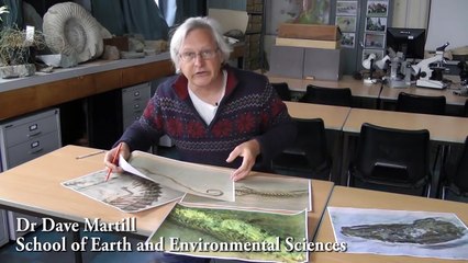 Tetrapodophis amplectus - A four-legged snake from the Early Cretaceous of Gondwana