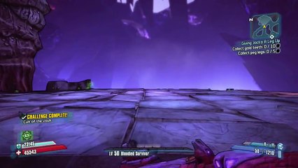 Borderlands 2 Treasure Room Loot Farming Leviathan Skip Tutorial Cpt Scarlett Dlc Dailymotion Video