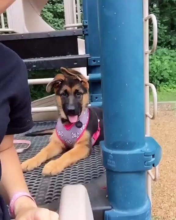 I slide too!
