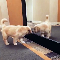 We are too evenly matched!