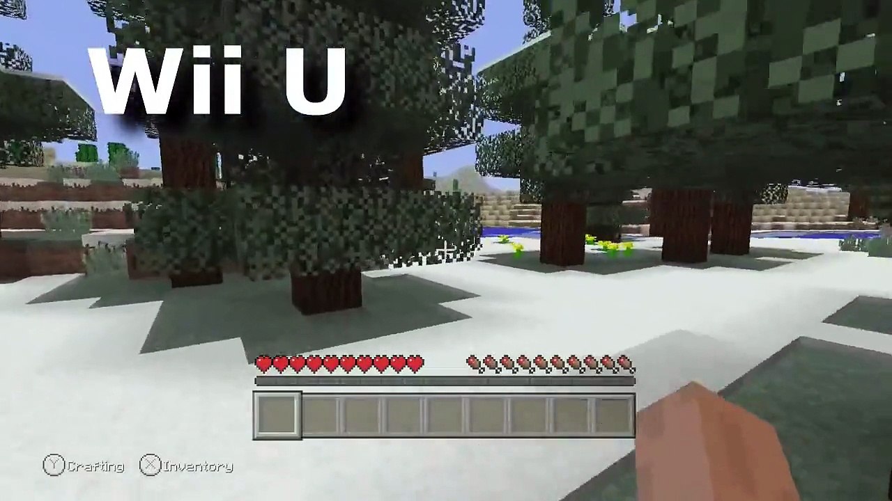 Minecraft Wii U VS Minecraft PS4 Graphics Comparison