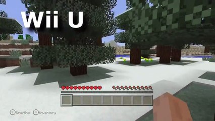 Minecraft Wii U VS Minecraft PS4 Graphics Comparison