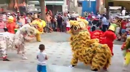 ĐOÀN NGHỆ THUẬT LÂN – SƯ – RỒNG TRUNG SƠN VÕ ĐẠO QUẬN 12