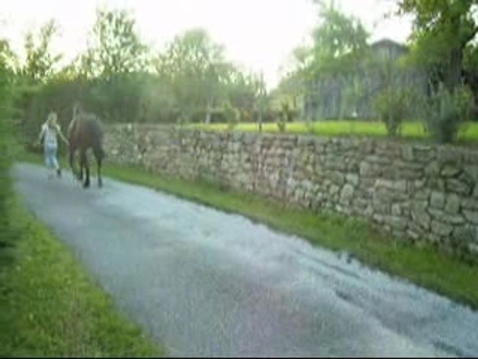 Trotte trotte ma jument ...