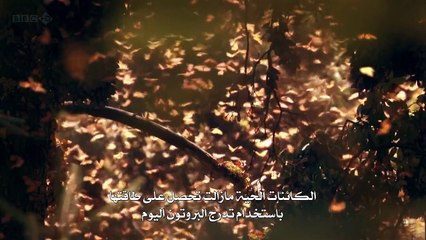 عجائب الحياه الحلقه الاولى ما هي الحياة؟