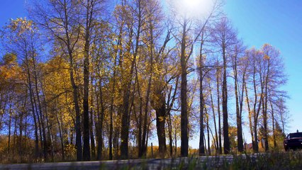 All-New Jeep Renegade Conquers Black Bear Pass! – Dirt Every Day Ep. 46