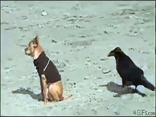 LOl!! that was awesome