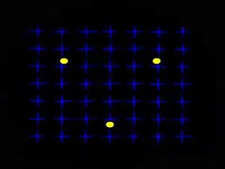 motion induced blindneess