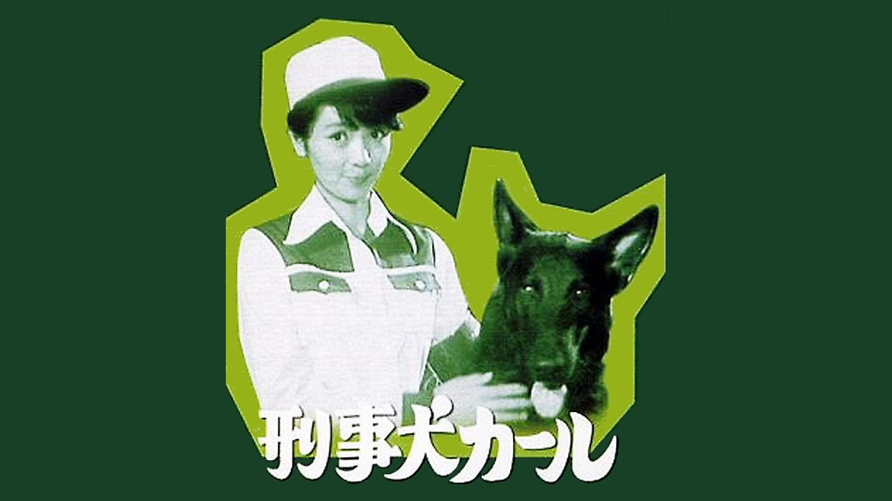 SUPERDOG BLACK - 18 - Un Occasione Da Non Perdere (1977)