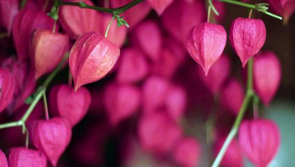 Criss cross waterfall braid hairstyle long hair tutorial.