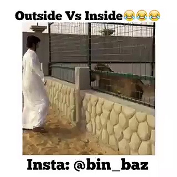 Funny Arabians Inside vs Outside