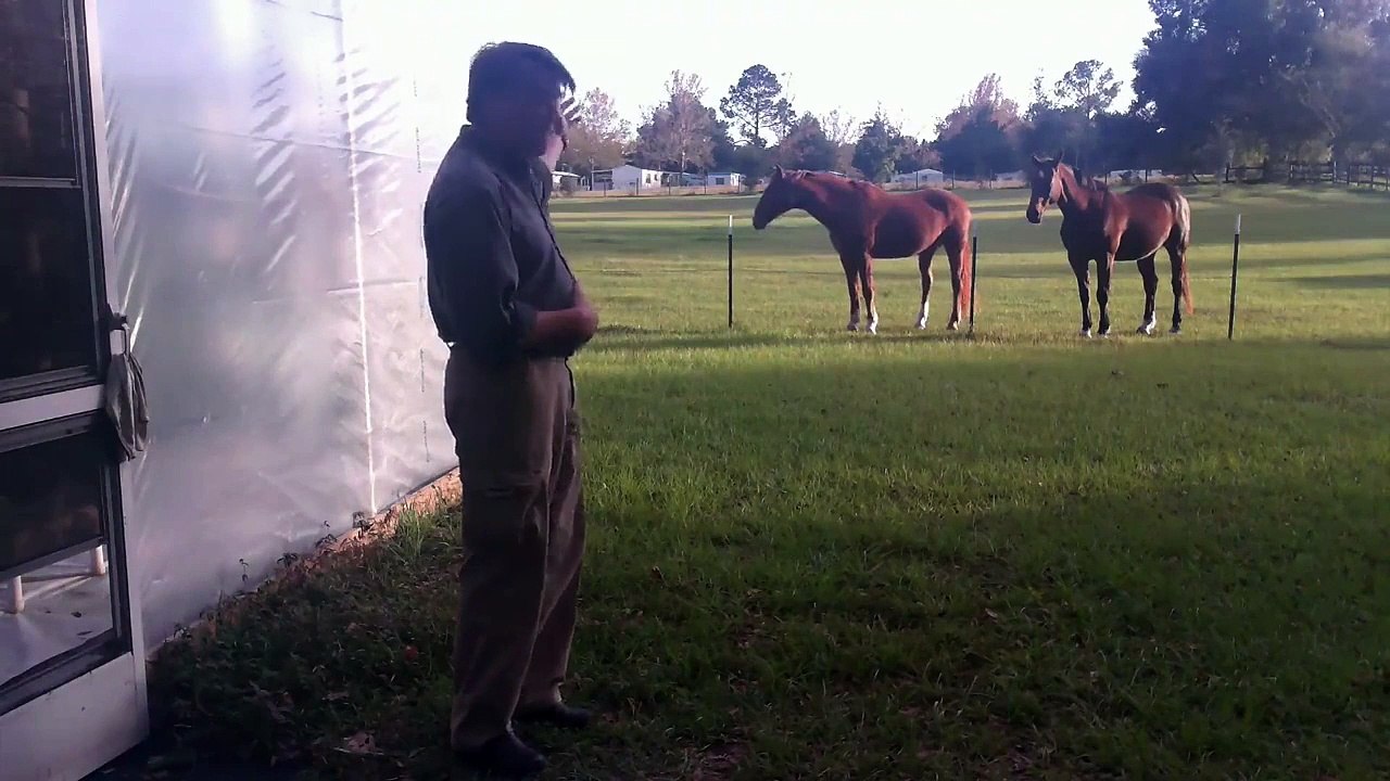 Sun State Organics Part II Composting Vermiculture