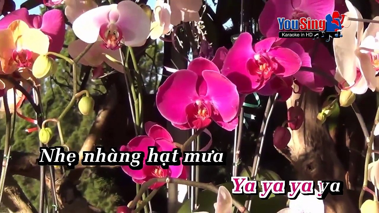 Karaoke Chào Xuân Mới  _The Bells