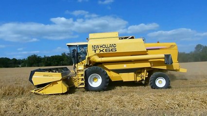 New Holland Tx 66 Barley harvest