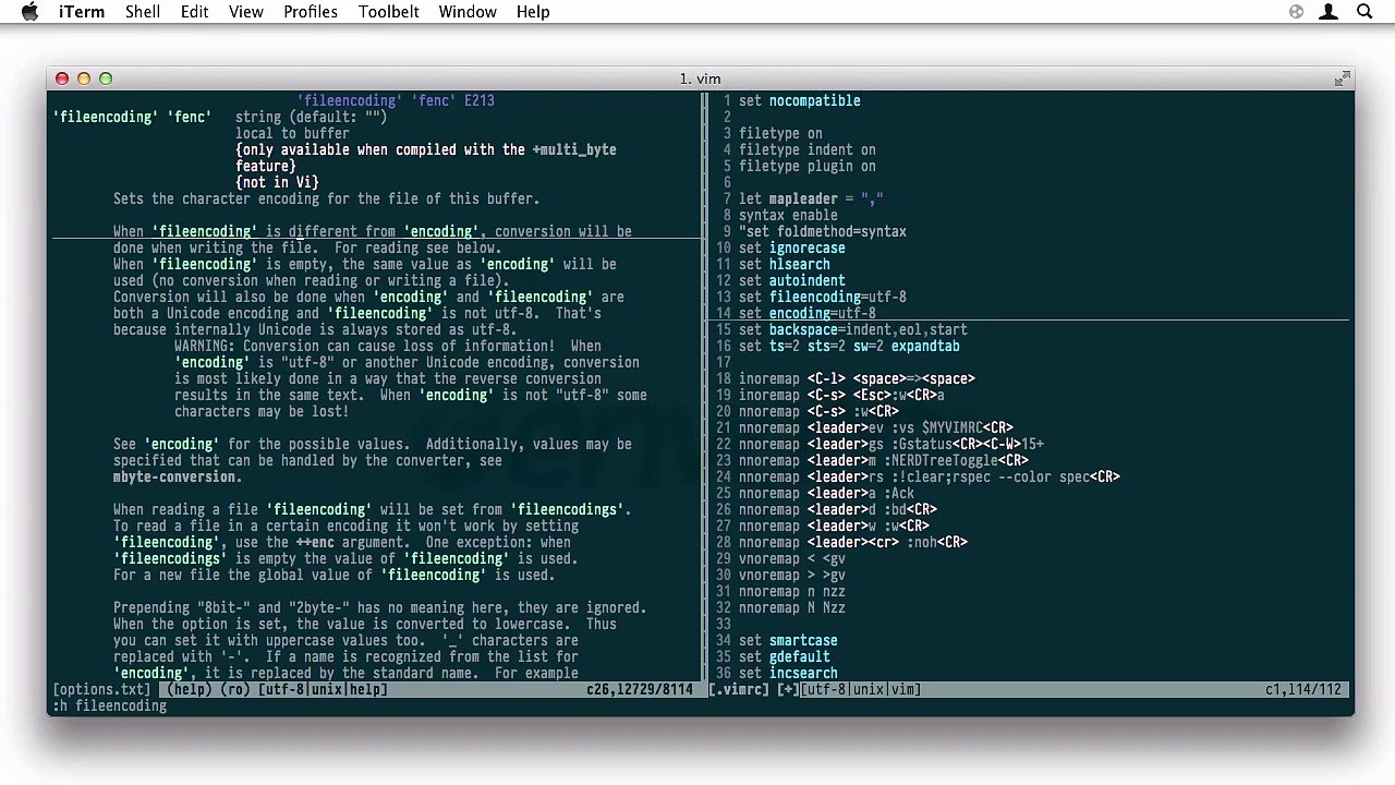 15-The-vimrc-File