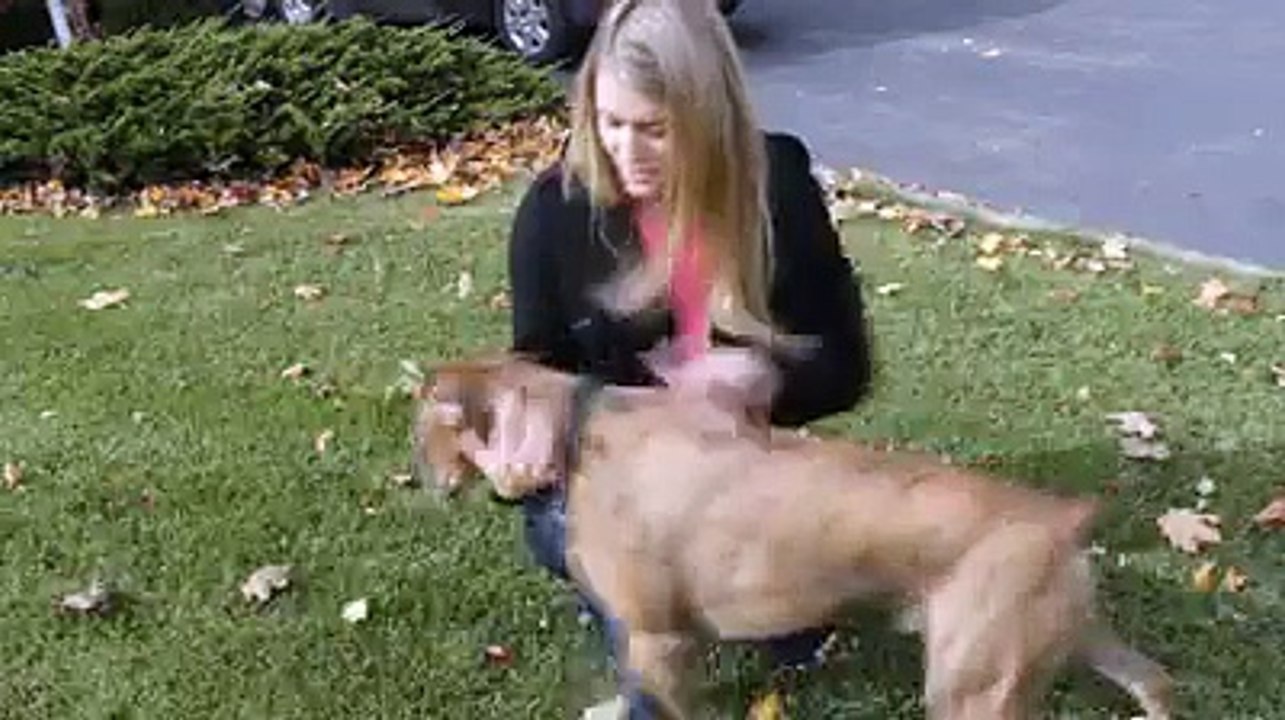 White people vs. Brown people with dogs  Zaid Ali Videos
