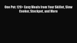 [PDF Download] One Pot: 120+ Easy Meals from Your Skillet Slow Cooker Stockpot and More [Download]