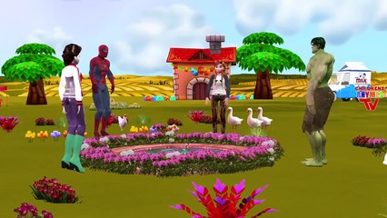 Spiderman Frozen Elsa Hulk Cartoons Singing Ringa Ringa Roses Nursery Rhymes For Children