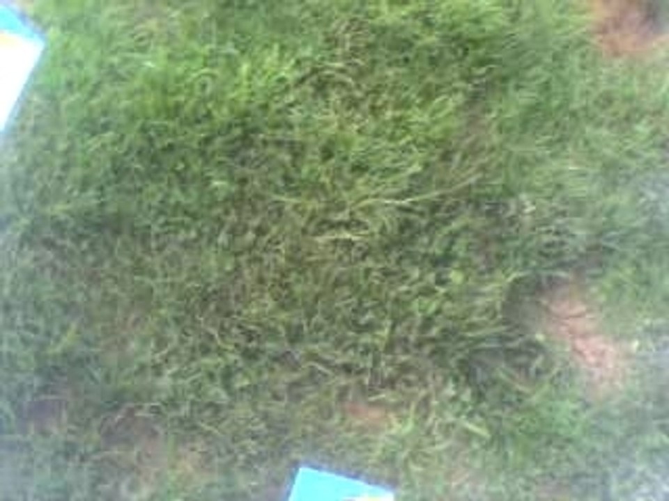 flycamone sur trainer 2