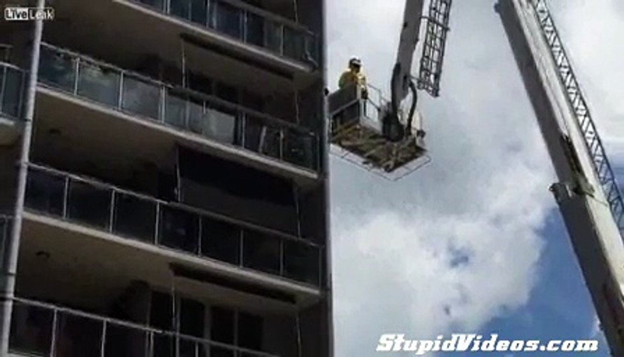 Cat Rescues Himself