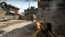 CS-GO FAMAS Weapon Guide (Counter Strike- Global Offensive)