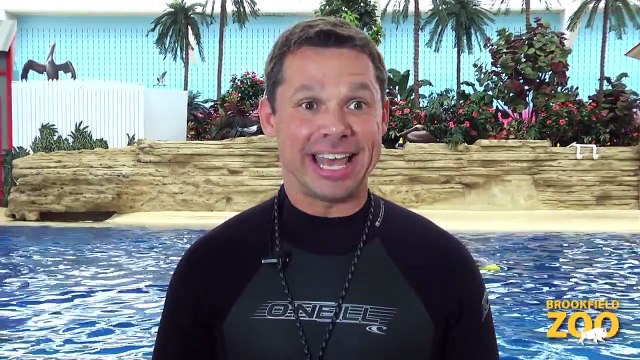 Brookfield Zoo's Seven Seas Staff Part 4 - Mark and Magic