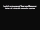 [PDF Download] Social Psychology and Theories of Consumer Culture: A Political Economy Perspective