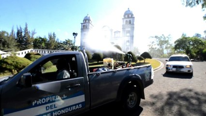 Le virus Zika commence à semer la panique en Amérique latine