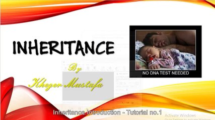 Inheritance Introduction - Tutorial no.1