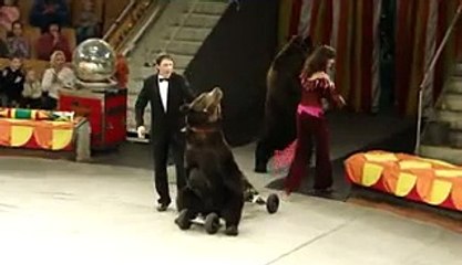 lucky irani circus (8)